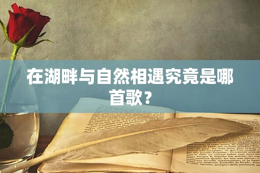 在湖畔与自然相遇究竟是哪首歌？
