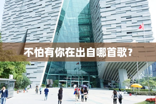 不怕有你在出自哪首歌？