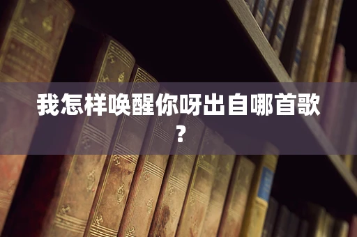 我怎样唤醒你呀出自哪首歌？