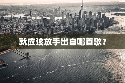 就应该放手出自哪首歌？