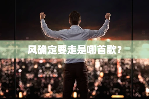 风确定要走是哪首歌？