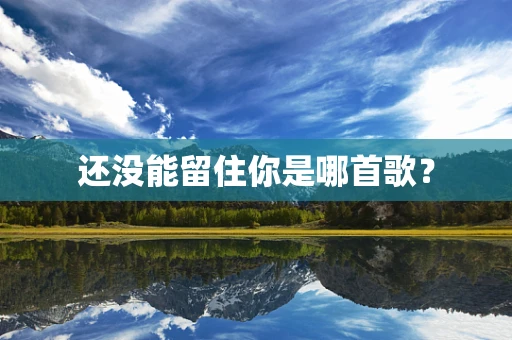 还没能留住你是哪首歌？