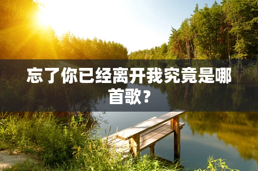 忘了你已经离开我究竟是哪首歌？