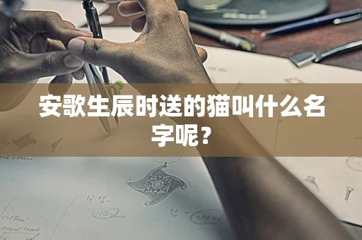 安歌生辰时送的猫叫什么名字呢？