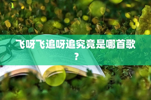 飞呀飞追呀追究竟是哪首歌？