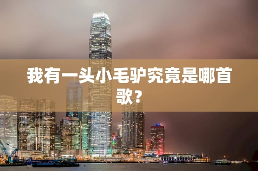 我有一头小毛驴究竟是哪首歌？