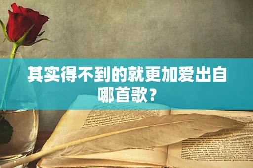 其实得不到的就更加爱出自哪首歌？