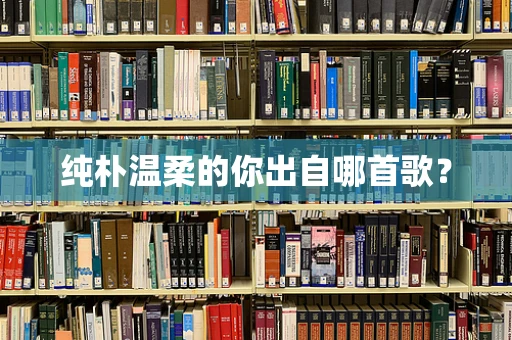 纯朴温柔的你出自哪首歌？