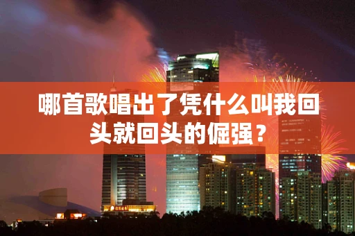 哪首歌唱出了凭什么叫我回头就回头的倔强？