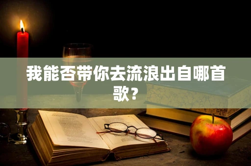 我能否带你去流浪出自哪首歌？