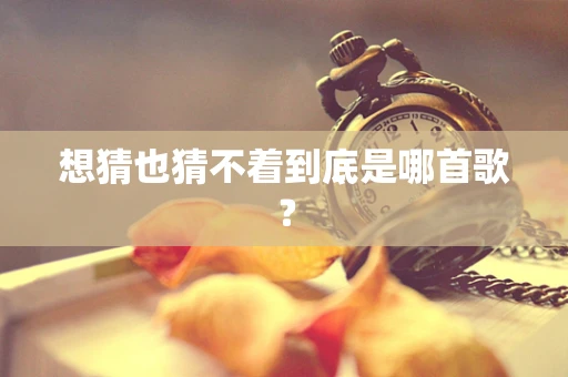 想猜也猜不着到底是哪首歌？
