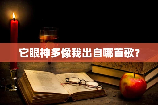 它眼神多像我出自哪首歌？