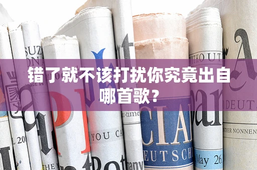 错了就不该打扰你究竟出自哪首歌？