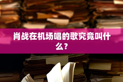 肖战在机场唱的歌究竟叫什么？