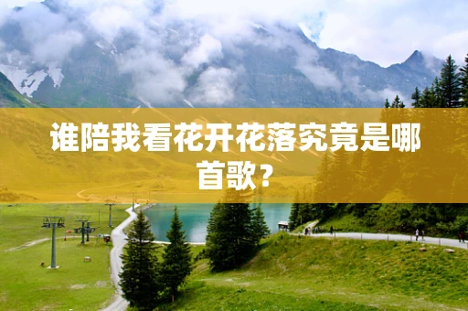 谁陪我看花开花落究竟是哪首歌？