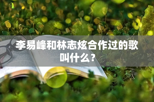 李易峰和林志炫合作过的歌叫什么？