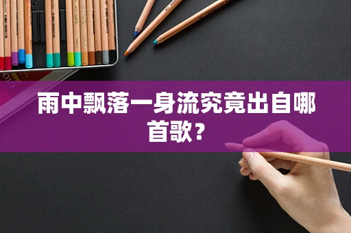 雨中飘落一身流究竟出自哪首歌？