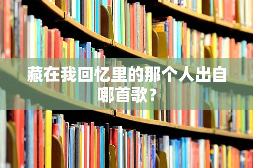藏在我回忆里的那个人出自哪首歌？