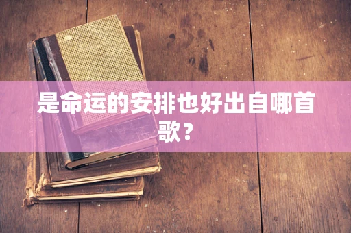 是命运的安排也好出自哪首歌？