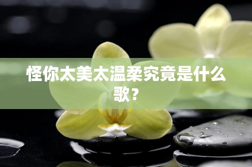 怪你太美太温柔究竟是什么歌？