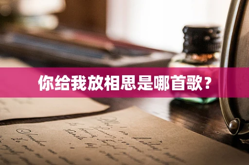 你给我放相思是哪首歌？