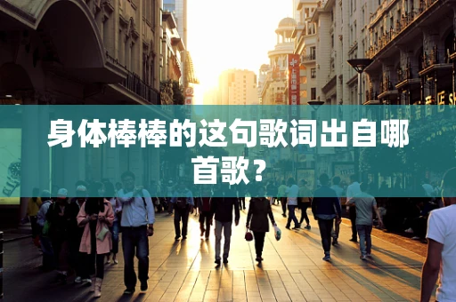 身体棒棒的这句歌词出自哪首歌？