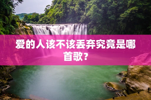 爱的人该不该丢弃究竟是哪首歌？
