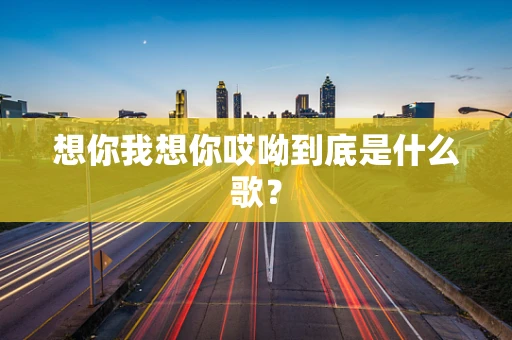 想你我想你哎呦到底是什么歌？