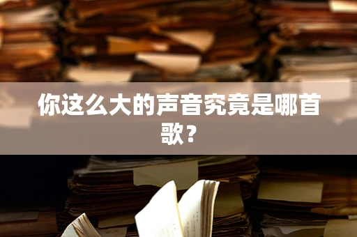 你这么大的声音究竟是哪首歌？