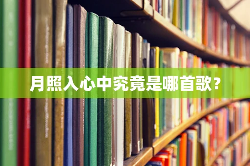 月照入心中究竟是哪首歌？
