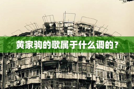 黄家驹的歌属于什么调的？