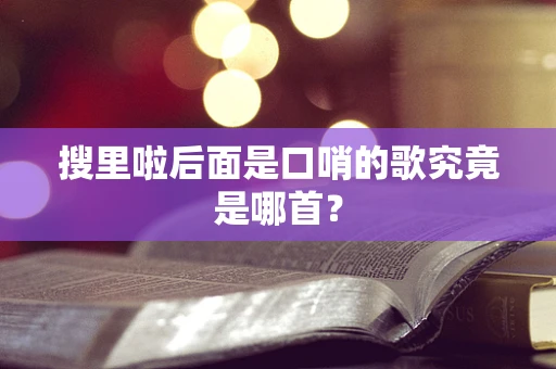 搜里啦后面是口哨的歌究竟是哪首？