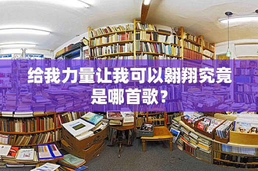 给我力量让我可以翱翔究竟是哪首歌？