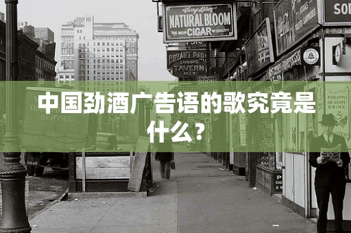 中国劲酒广告语的歌究竟是什么？