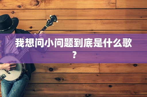 我想问小问题到底是什么歌？