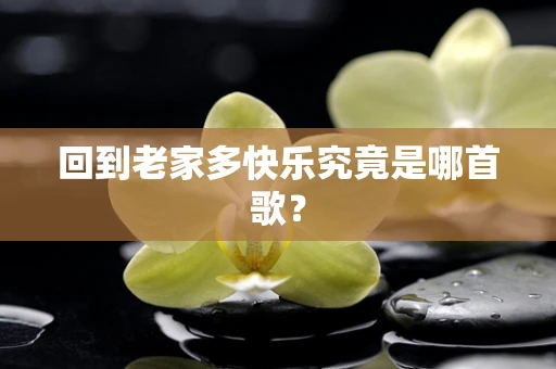 回到老家多快乐究竟是哪首歌？