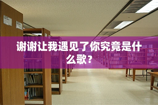 谢谢让我遇见了你究竟是什么歌？