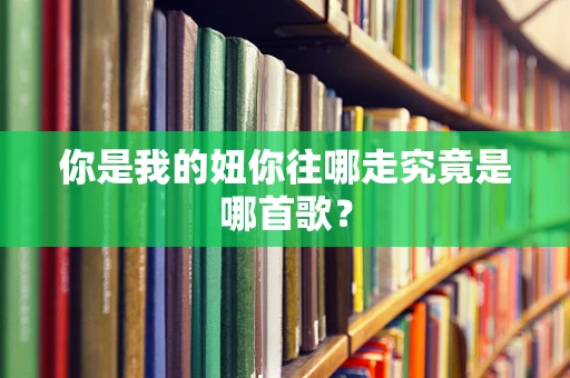 你是我的妞你往哪走究竟是哪首歌？