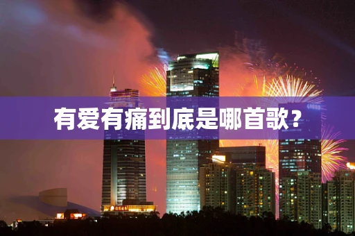 有爱有痛到底是哪首歌？
