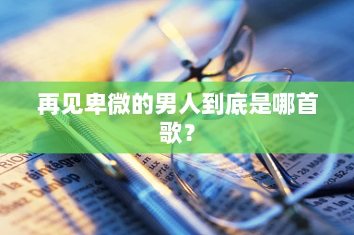 再见卑微的男人到底是哪首歌？