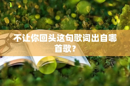 不让你回头这句歌词出自哪首歌？