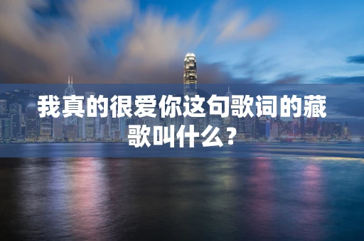 我真的很爱你这句歌词的藏歌叫什么？