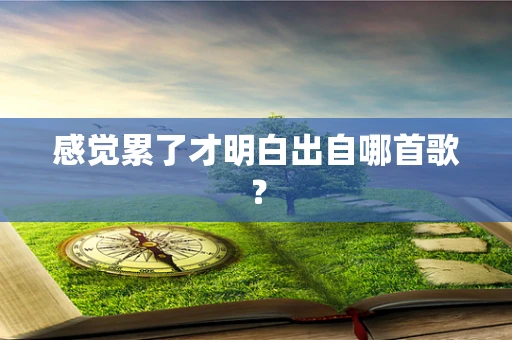 感觉累了才明白出自哪首歌？