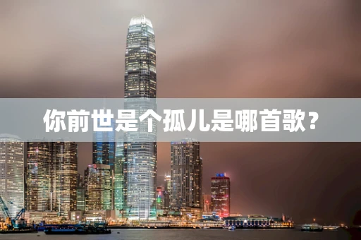 你前世是个孤儿是哪首歌？