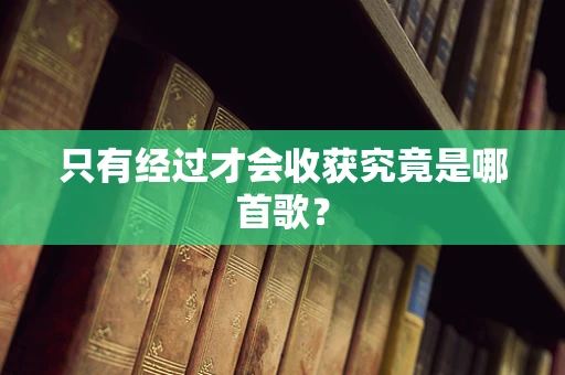 只有经过才会收获究竟是哪首歌？