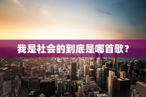 我是社会的到底是哪首歌？