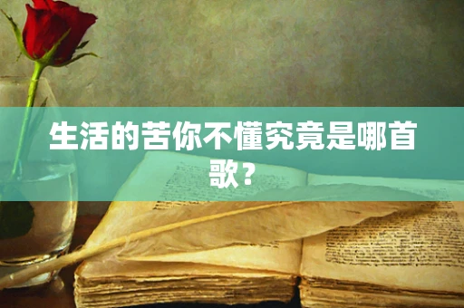 生活的苦你不懂究竟是哪首歌？