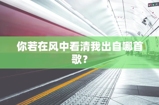 你若在风中看清我出自哪首歌？