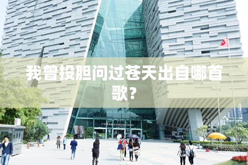 我曾投胆问过苍天出自哪首歌？