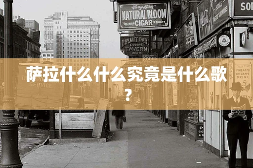 萨拉什么什么究竟是什么歌？